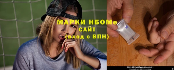 сатива Тайга
