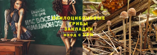 ГАЛЛЮЦИНОГЕННЫЕ ГРИБЫ Балабаново