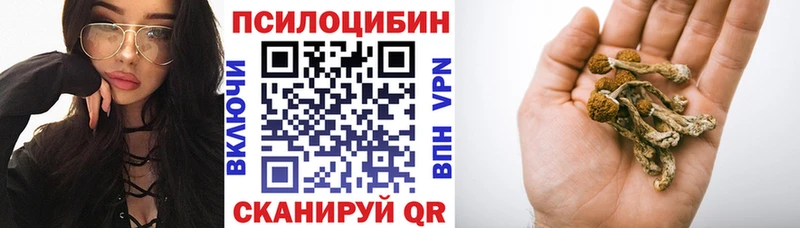 Псилоцибиновые грибы Cubensis  Куровское 